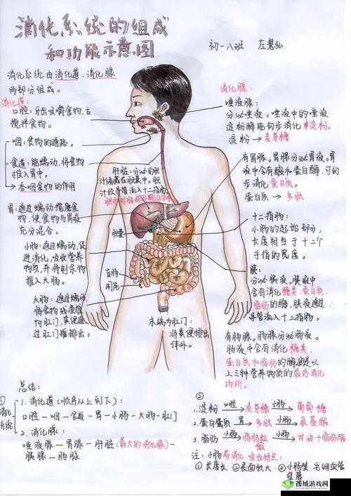 2 对 1 初次体检：探索未知的身体奥秘