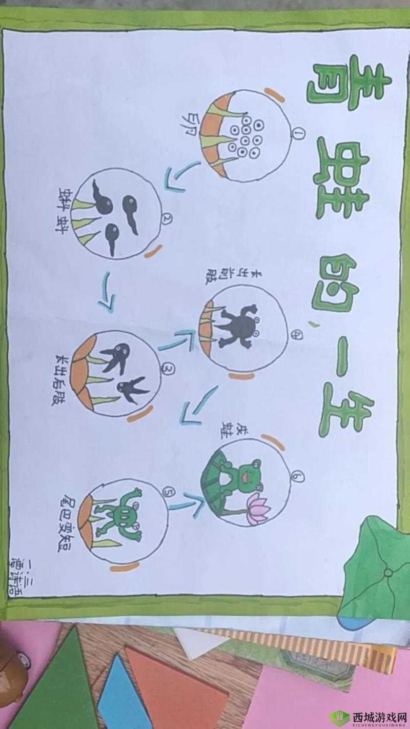 抖音蝌蚪游戏将如何变革？蝌蚪变青蛙深度解析及未来玩法大猜想